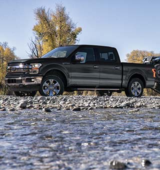 View Ford F 150 Pick Up Minero PNG