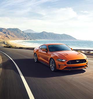 cotizaciones mustang