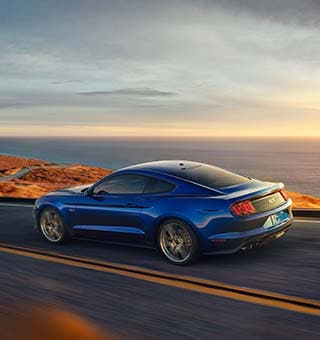 cotizaciones mustang