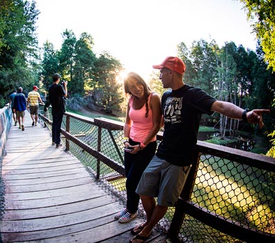 Carrera Zolkan Ford Huilo Huilo