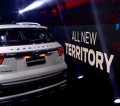 Lanzamiento All New Territory