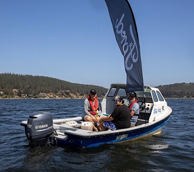 Siempre en las Mejores Activaciones