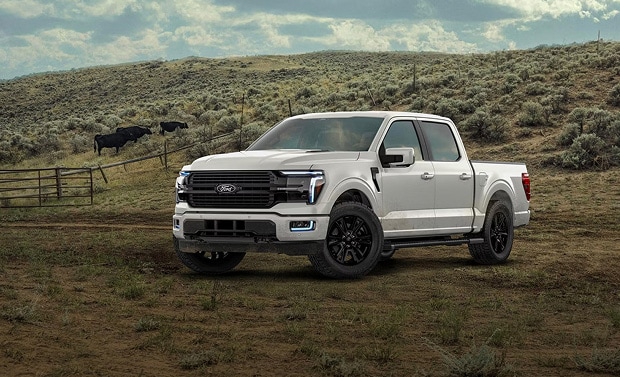 Ford F-150 Híbrida en montaña experiencia todo terreno