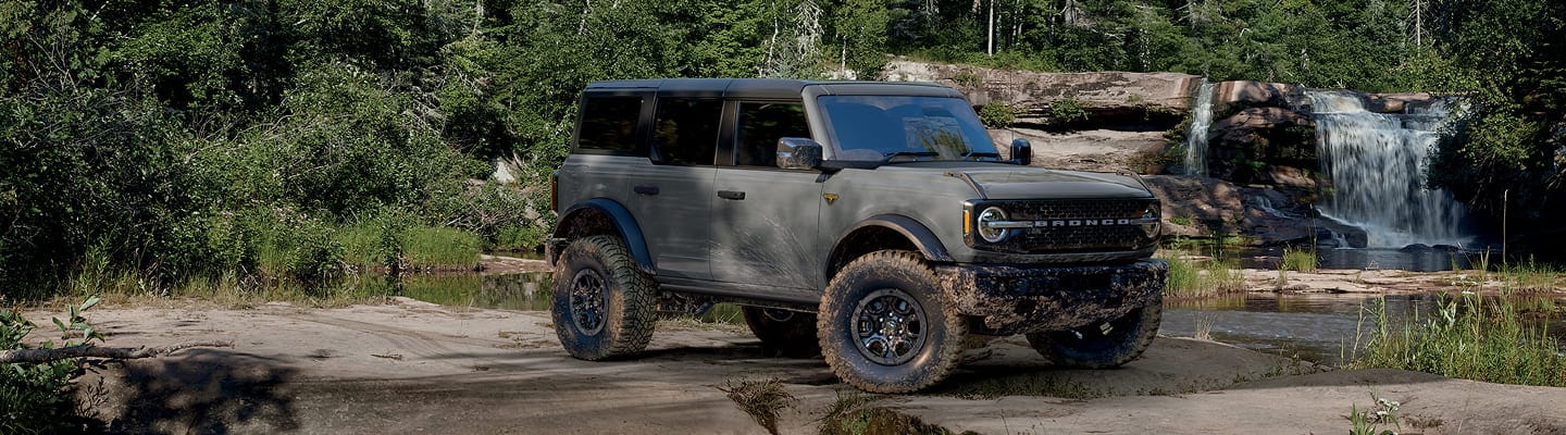 Bronco en camino boscoso