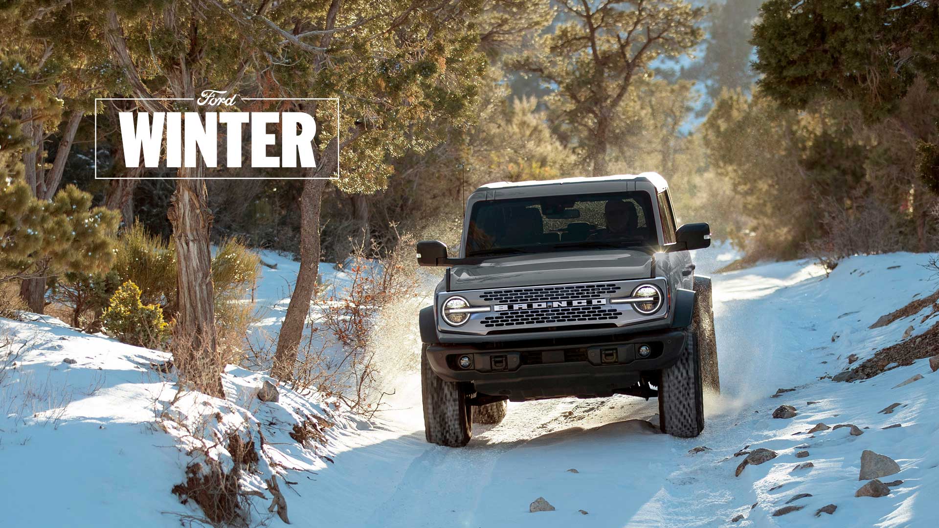 Ford Drives the Winter